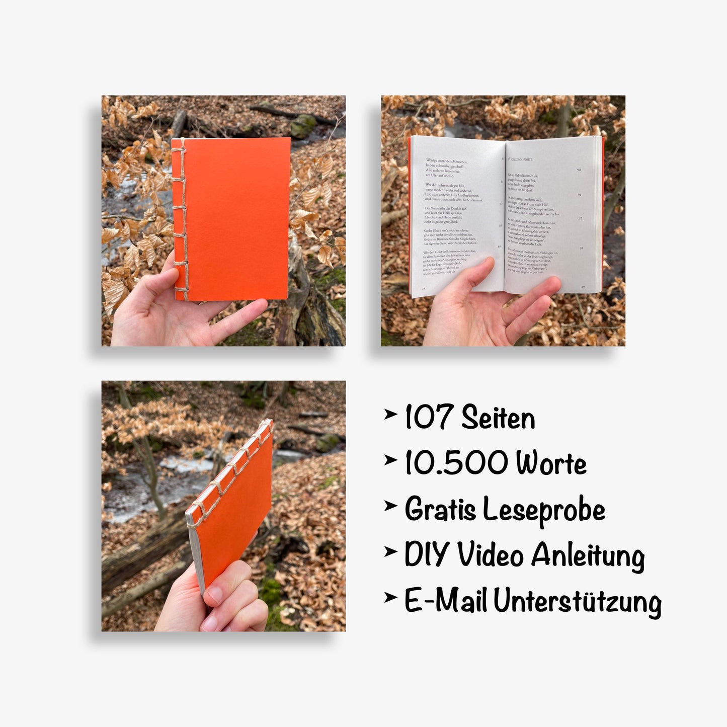 Dhammapada - Der Wirklichkeitspfad