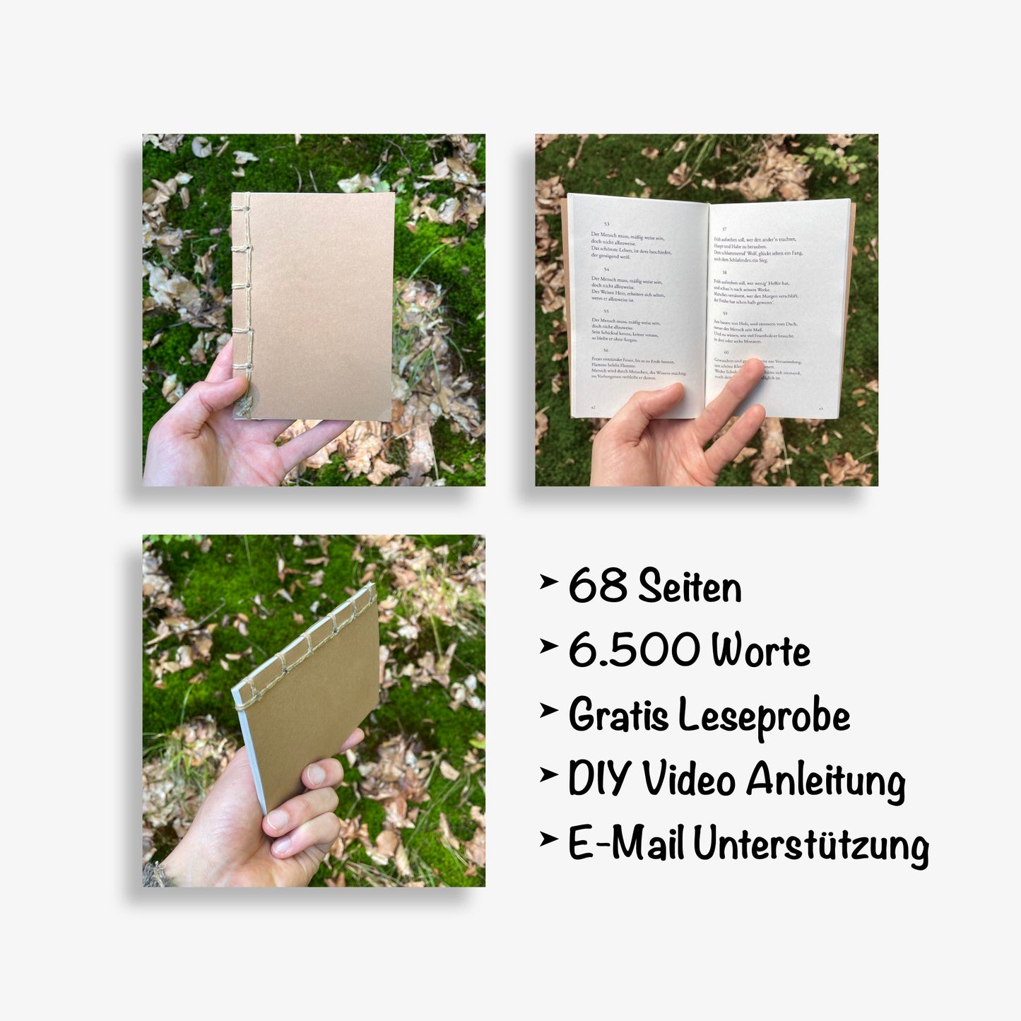 Havamal - Des Hohen Lied