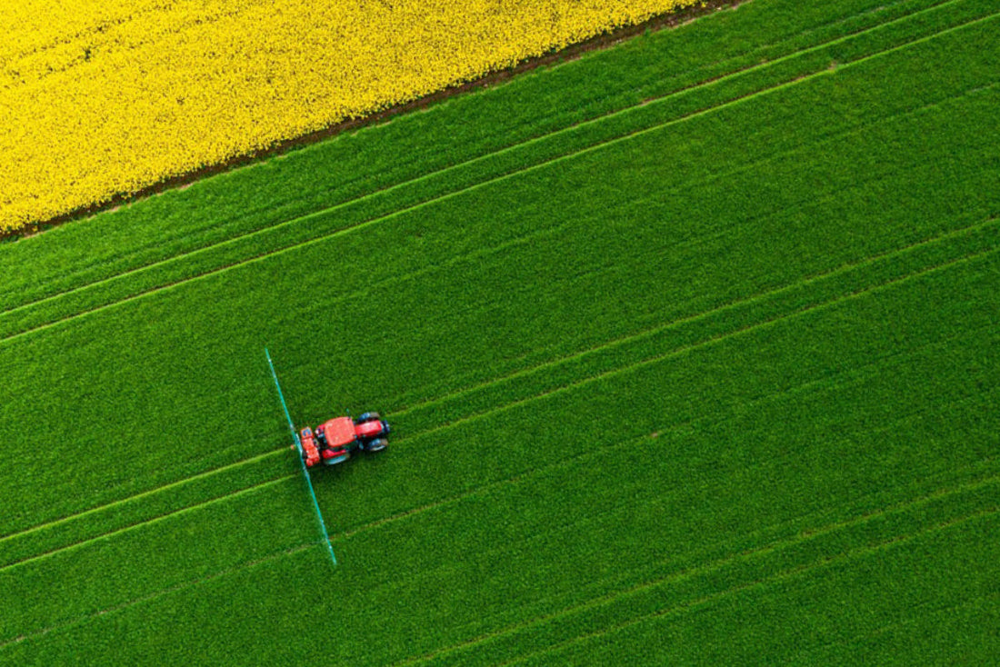 Traktor auf Monokultur-Feld