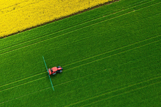 Traktor auf Monokultur-Feld