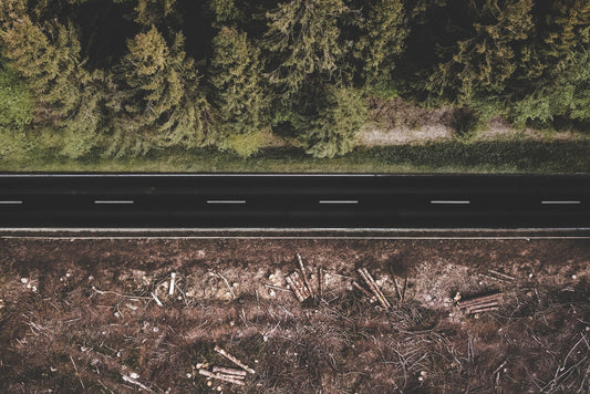 Straße durch Wald und Abholzung