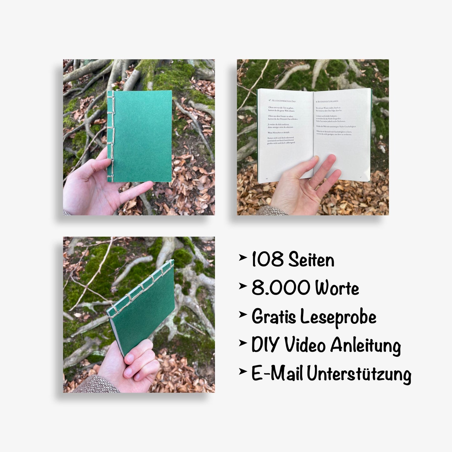 Daodejing - Vom Lauf und der Kraft