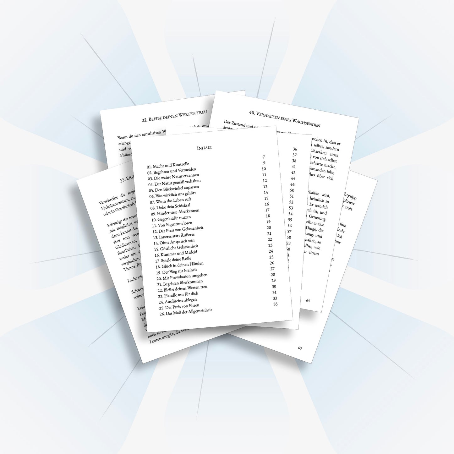 Enchiridion - Handbuch der Stoiker