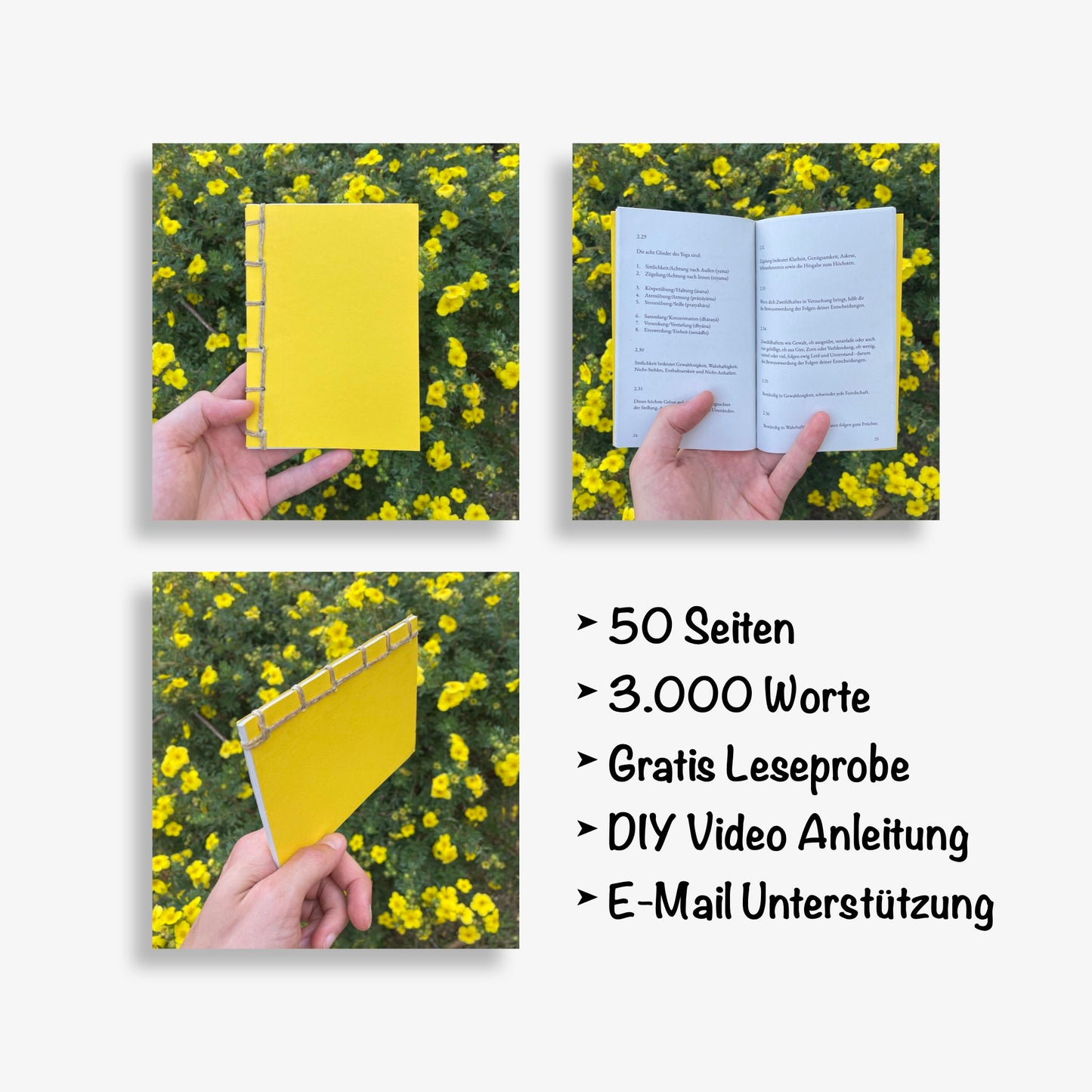 Yoga-Sutra - Anleitung zum Einigsein